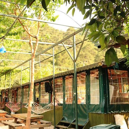 Bed and Breakfast Olympos Zeytin Zewnętrze zdjęcie