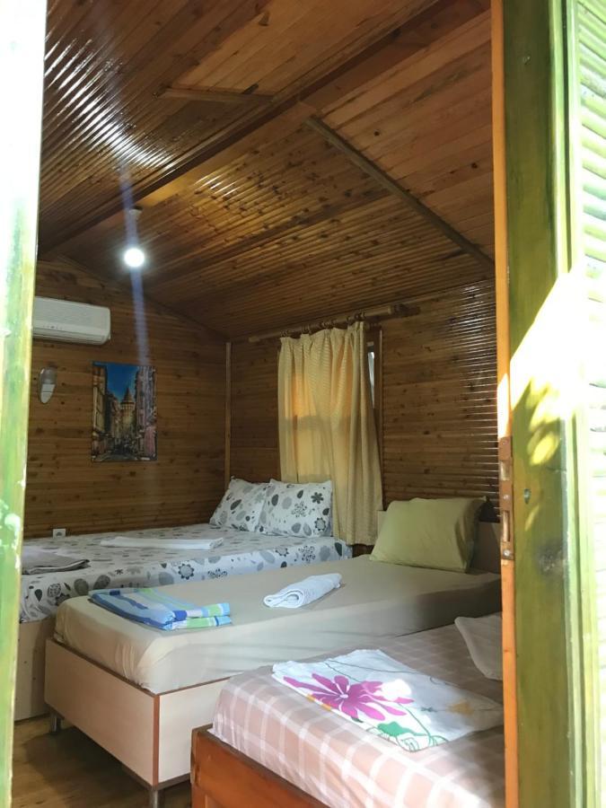 Bed and Breakfast Olympos Zeytin Zewnętrze zdjęcie