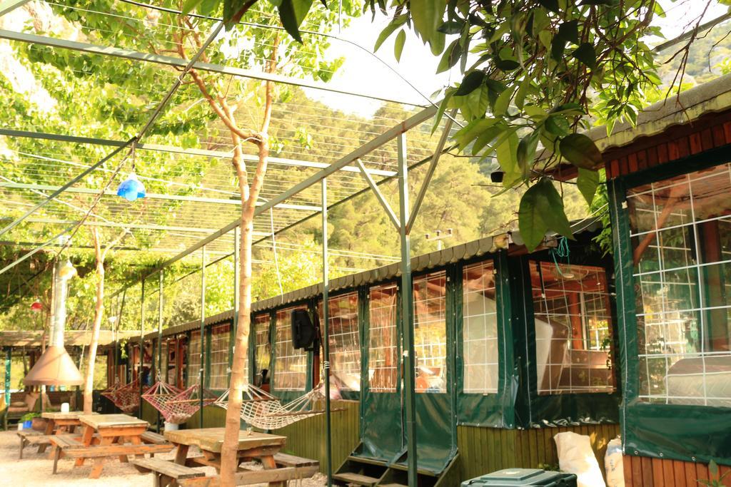 Bed and Breakfast Olympos Zeytin Zewnętrze zdjęcie