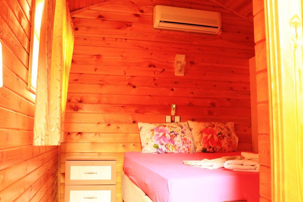 Bed and Breakfast Olympos Zeytin Zewnętrze zdjęcie