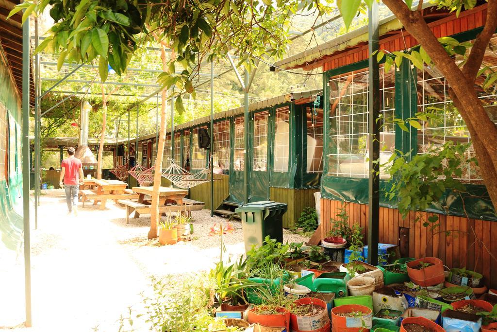 Bed and Breakfast Olympos Zeytin Zewnętrze zdjęcie