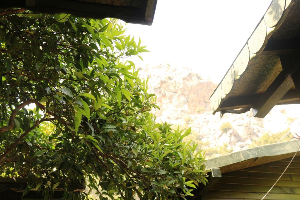 Bed and Breakfast Olympos Zeytin Zewnętrze zdjęcie